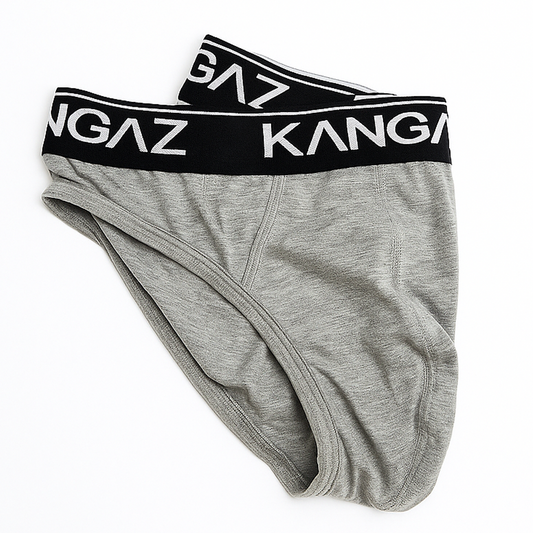 Mens Brief - Dash - Grey