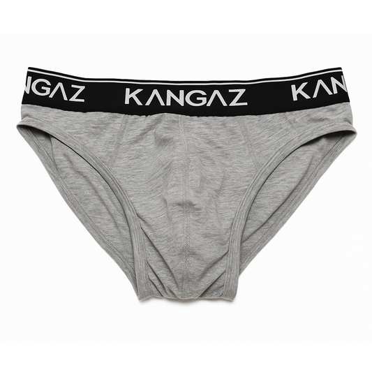 Mens Brief - Dash - Grey